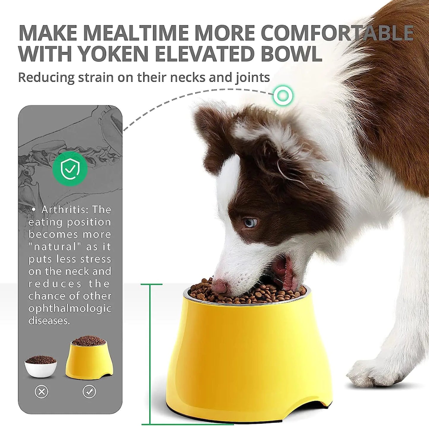 Non-Slip Stainless Steel Pet Bowl for Dogs and Cats