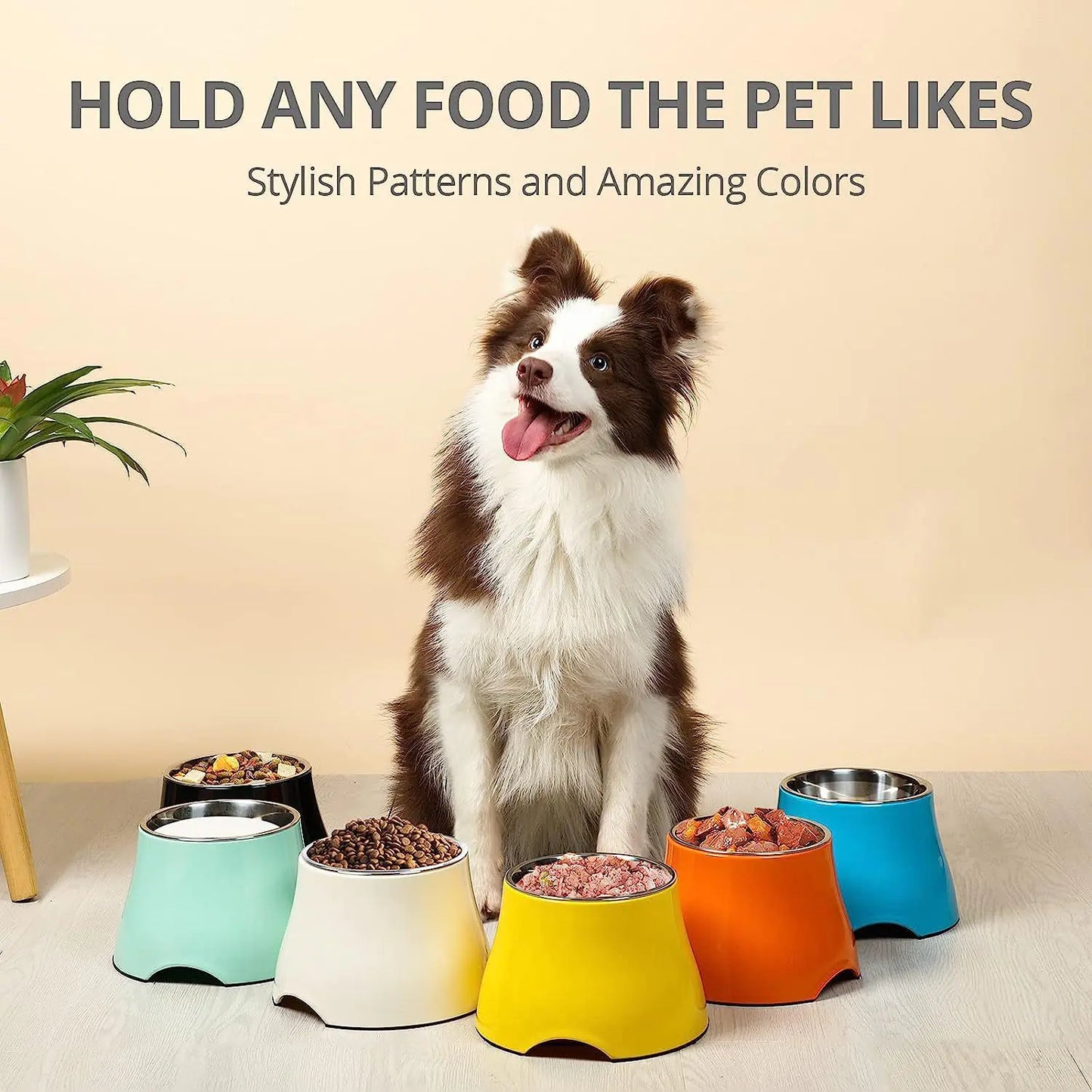 Non-Slip Stainless Steel Pet Bowl for Dogs and Cats